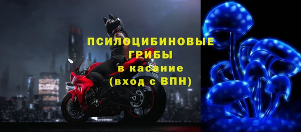 МДПВ Алзамай